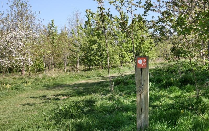 Footpath with signage in Dorothy's Wood