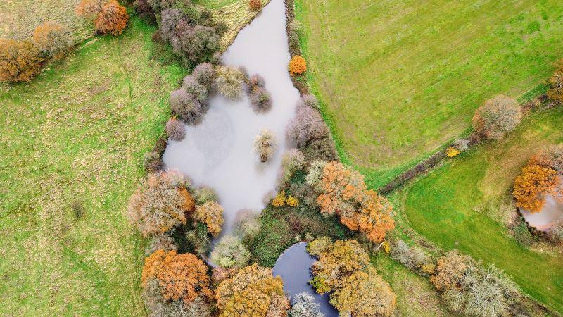 An aerial view of a pond in Oak Wood