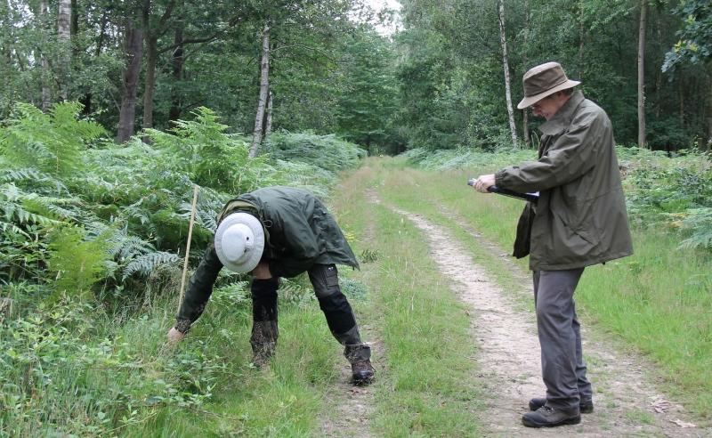 Two of our volunteers conducting a survey in the Forest
