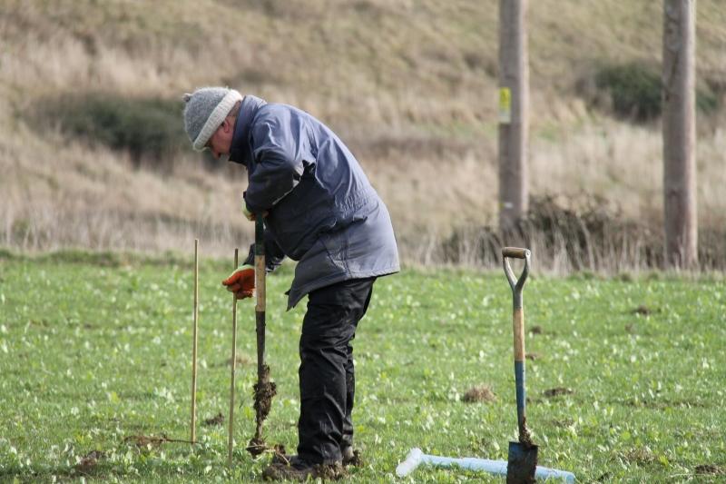 Volunteer, Bob, planting some trees in the Forest