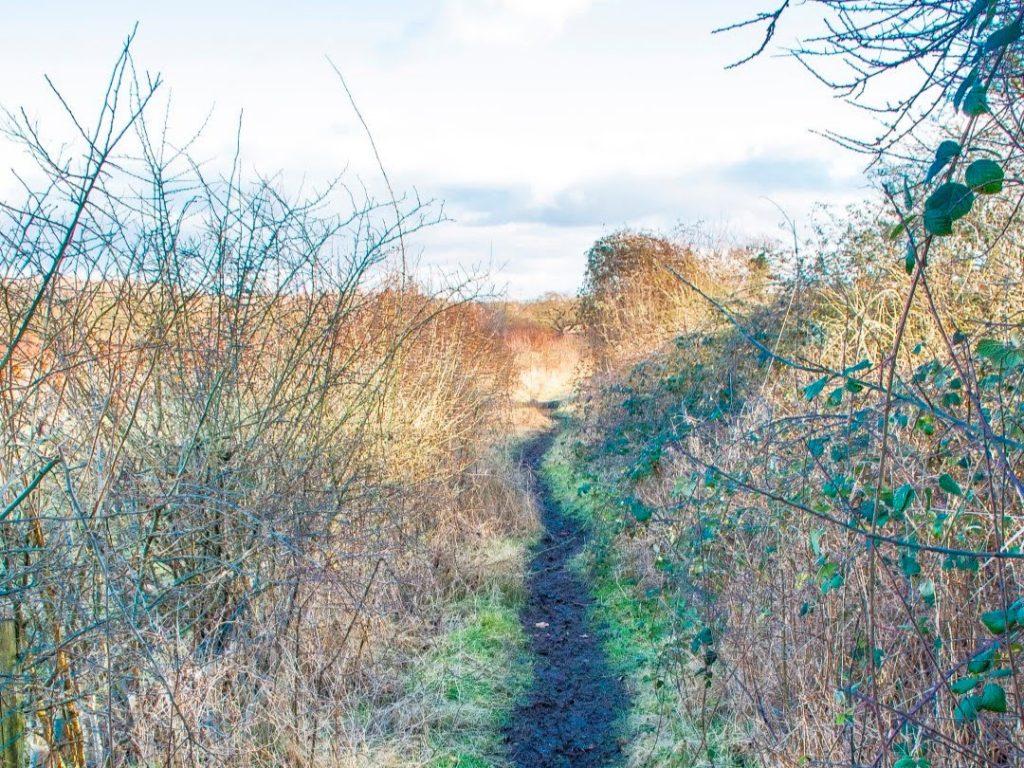 The public footpath at College Fields