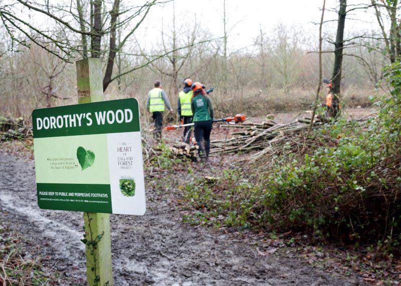 Forestry team working next to sign for Dorothy's Wood