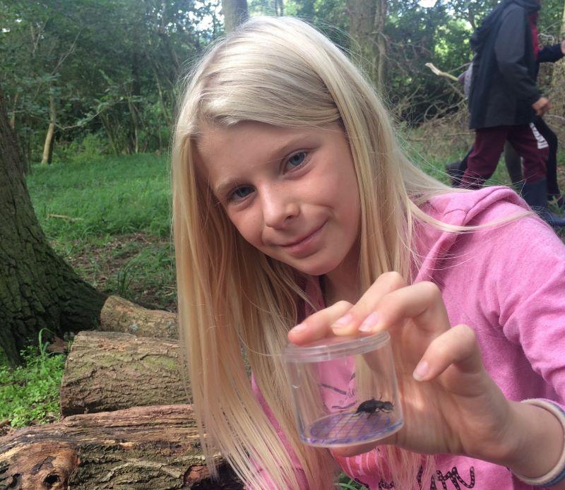 a young forester with a small insect she's caught in the Forest