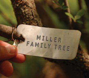 One of our tree tags with 'Miller Family Tree' written on it