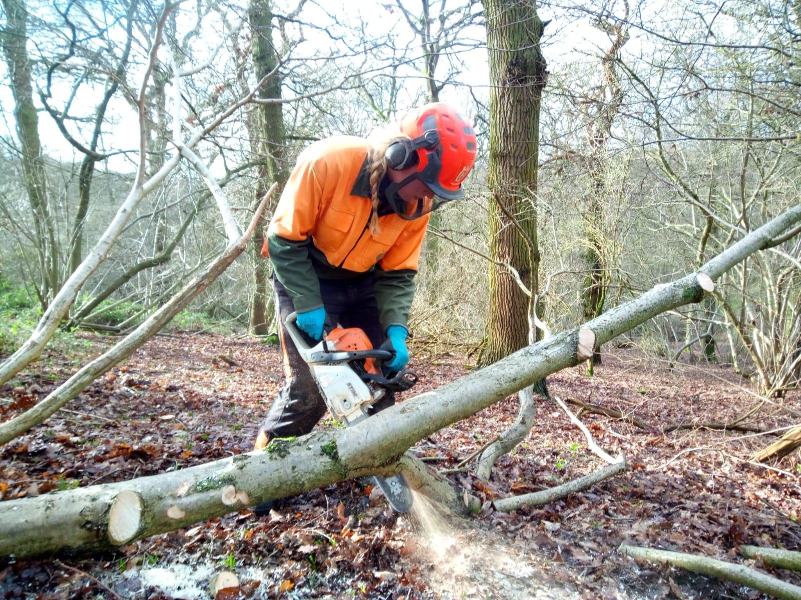 Nicole coppicing in the Forest