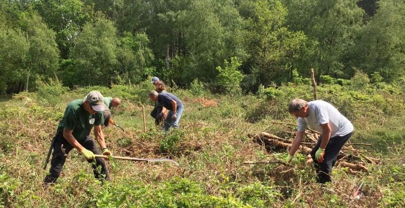 Volunteers working out in the Forest