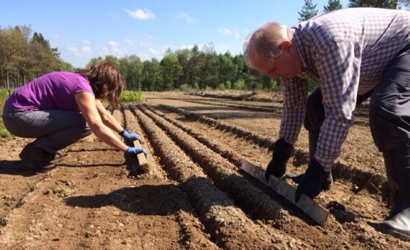 2 volunteers working hard in the sun