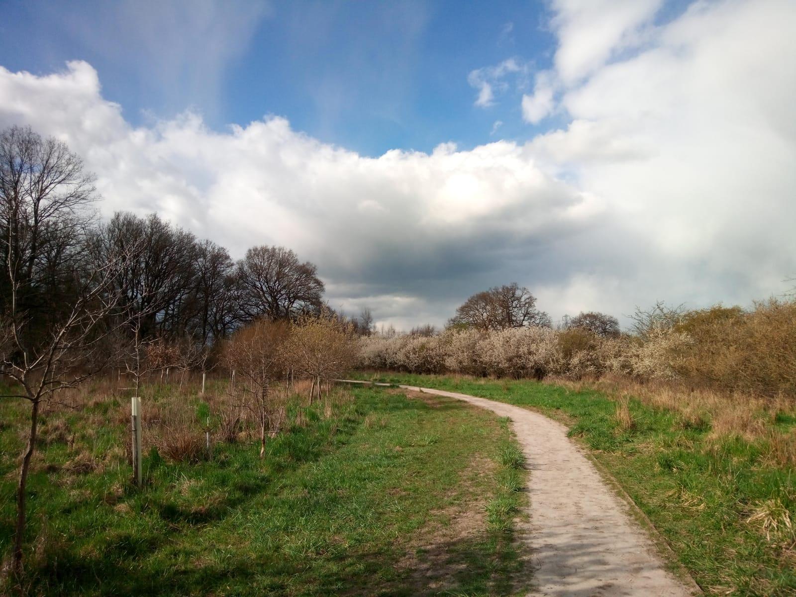 The accessible trail at Morgrove Coppice