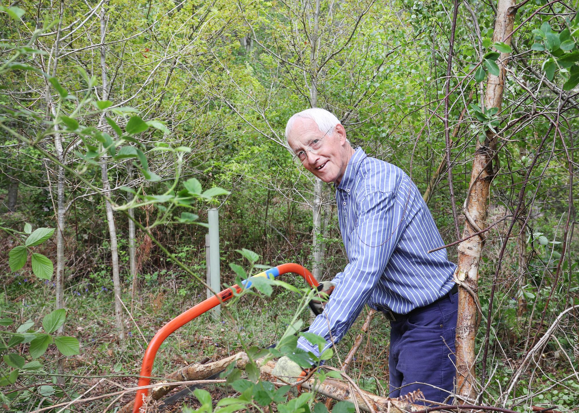 Volunteer Leader Steve using a saw to trim trees in the Forest