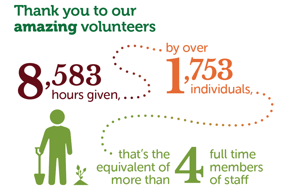 Infographic showing the number of volunteer hours given in 2019/20