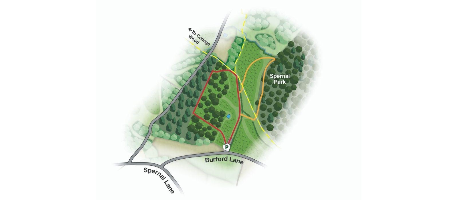 Map showing walking routes at Morgrove Coppice