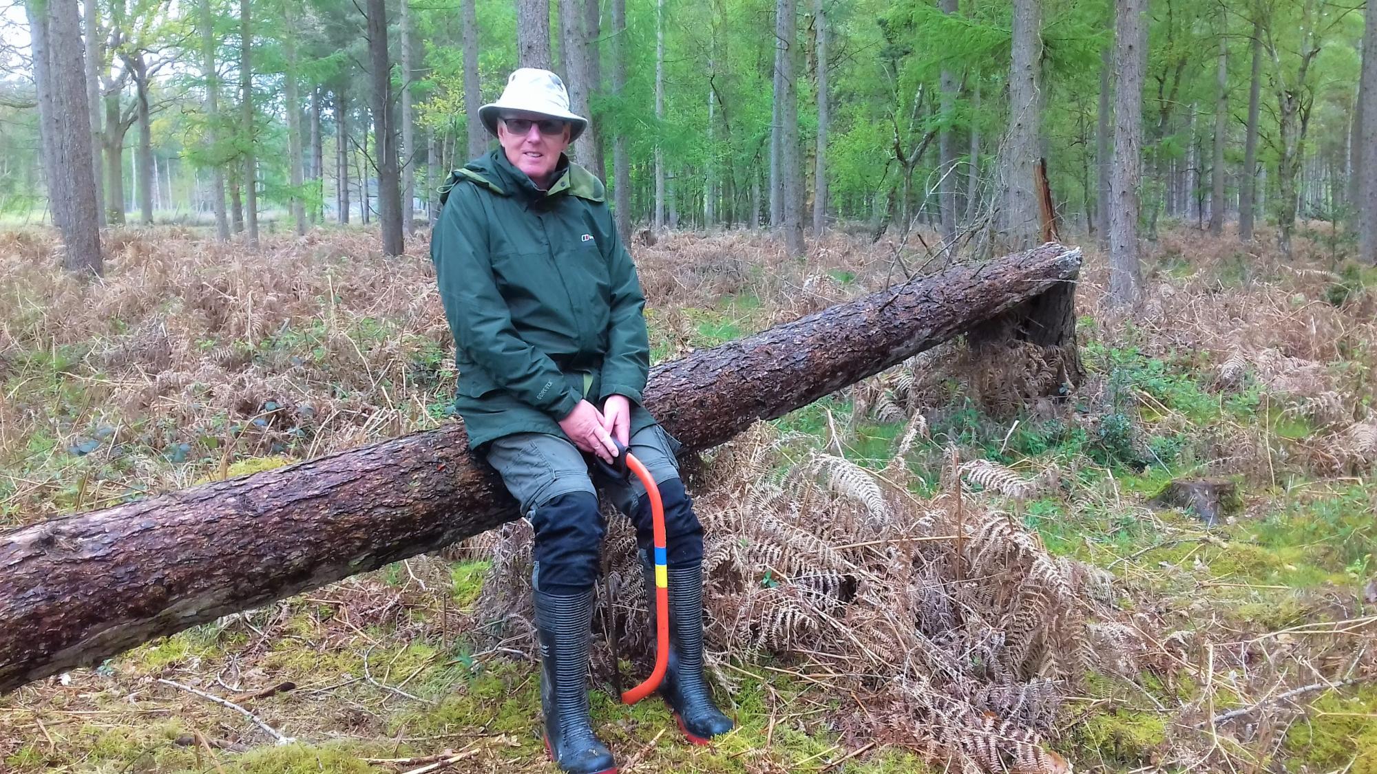 Volunteer Leader Ramsay perched on a tree in the Forest holding a saw