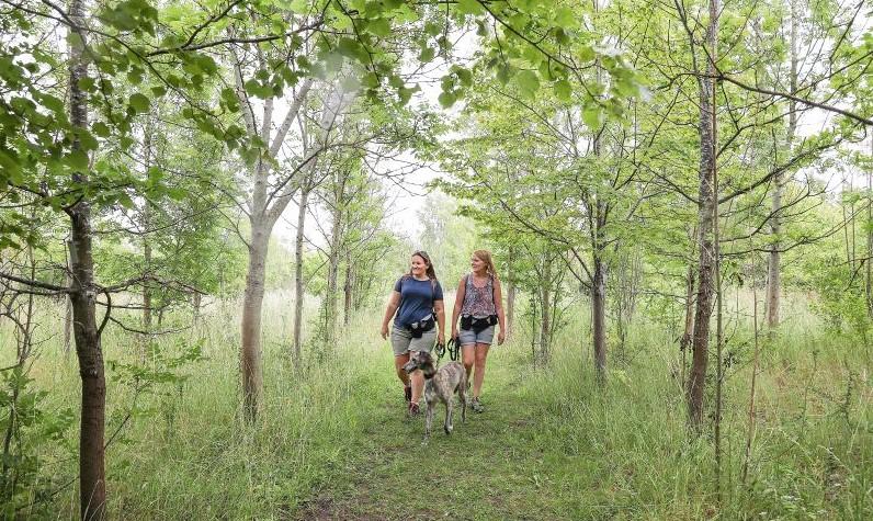 Sarah and Jane walking under a green woodland canopy