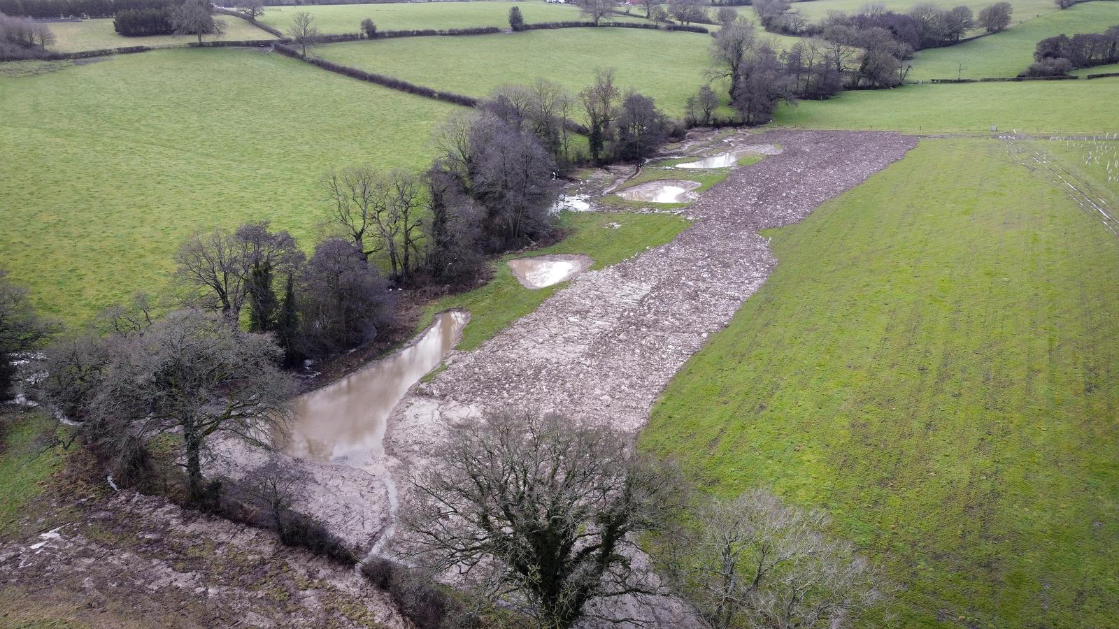 Aerial view of wetlands in Oak Wood