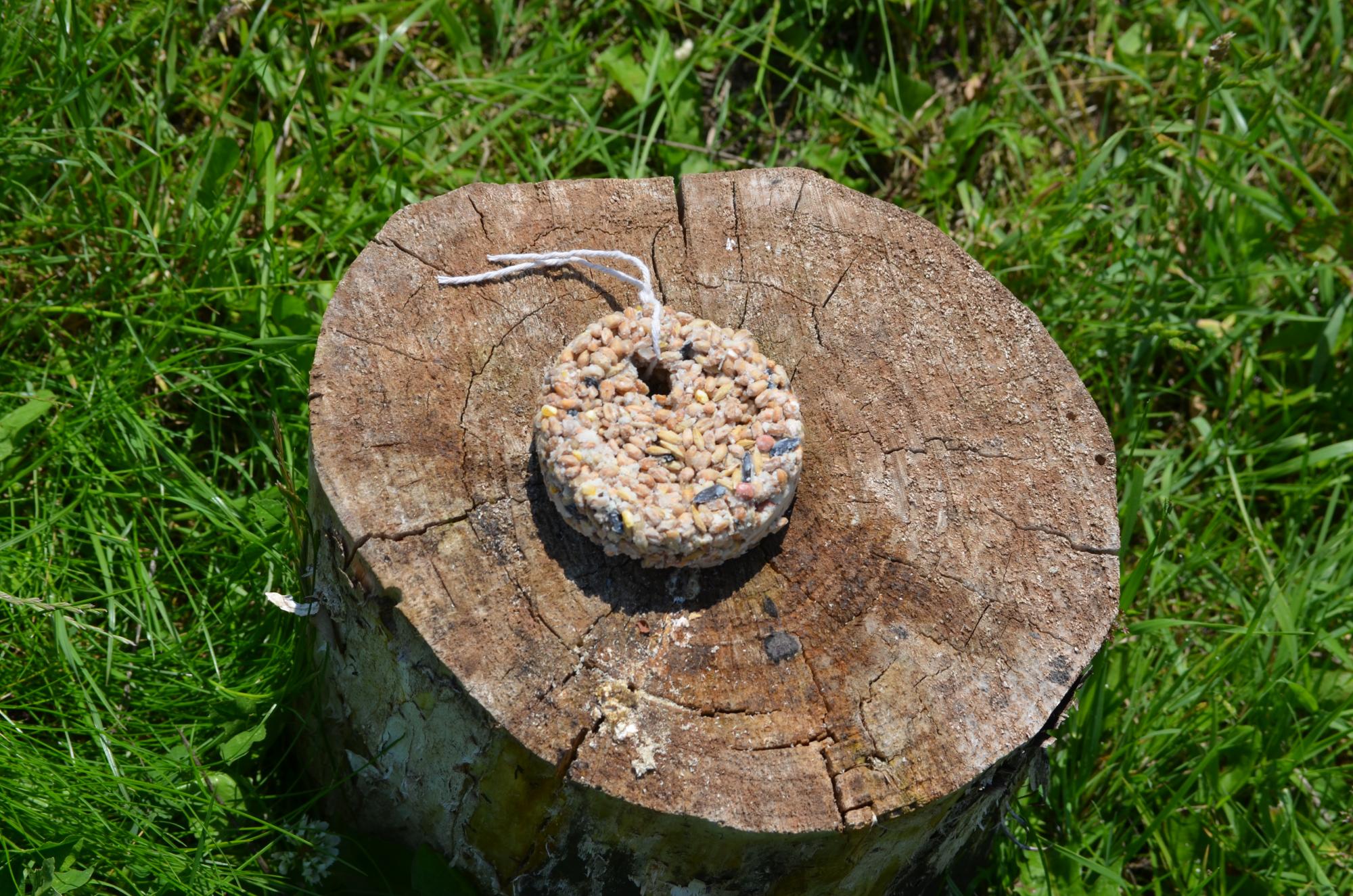 Close up of a handmade bird feeder with string through it
