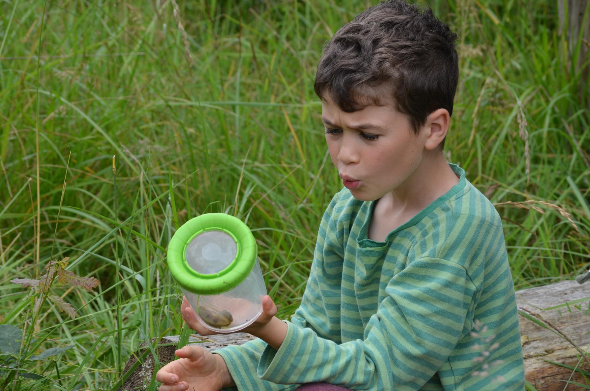 A mini forester admiring a bug caught in a bug trap