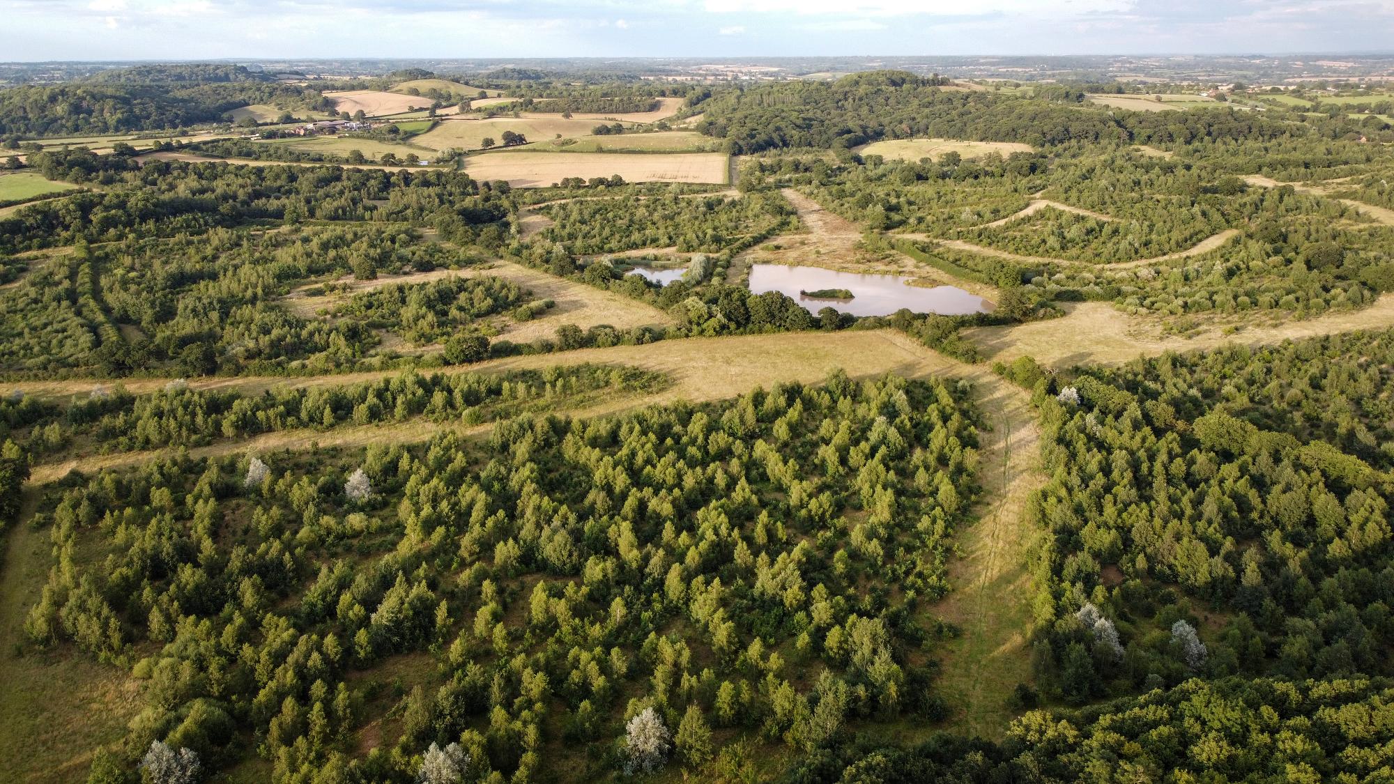 Aerial view of a pond at Oak wood