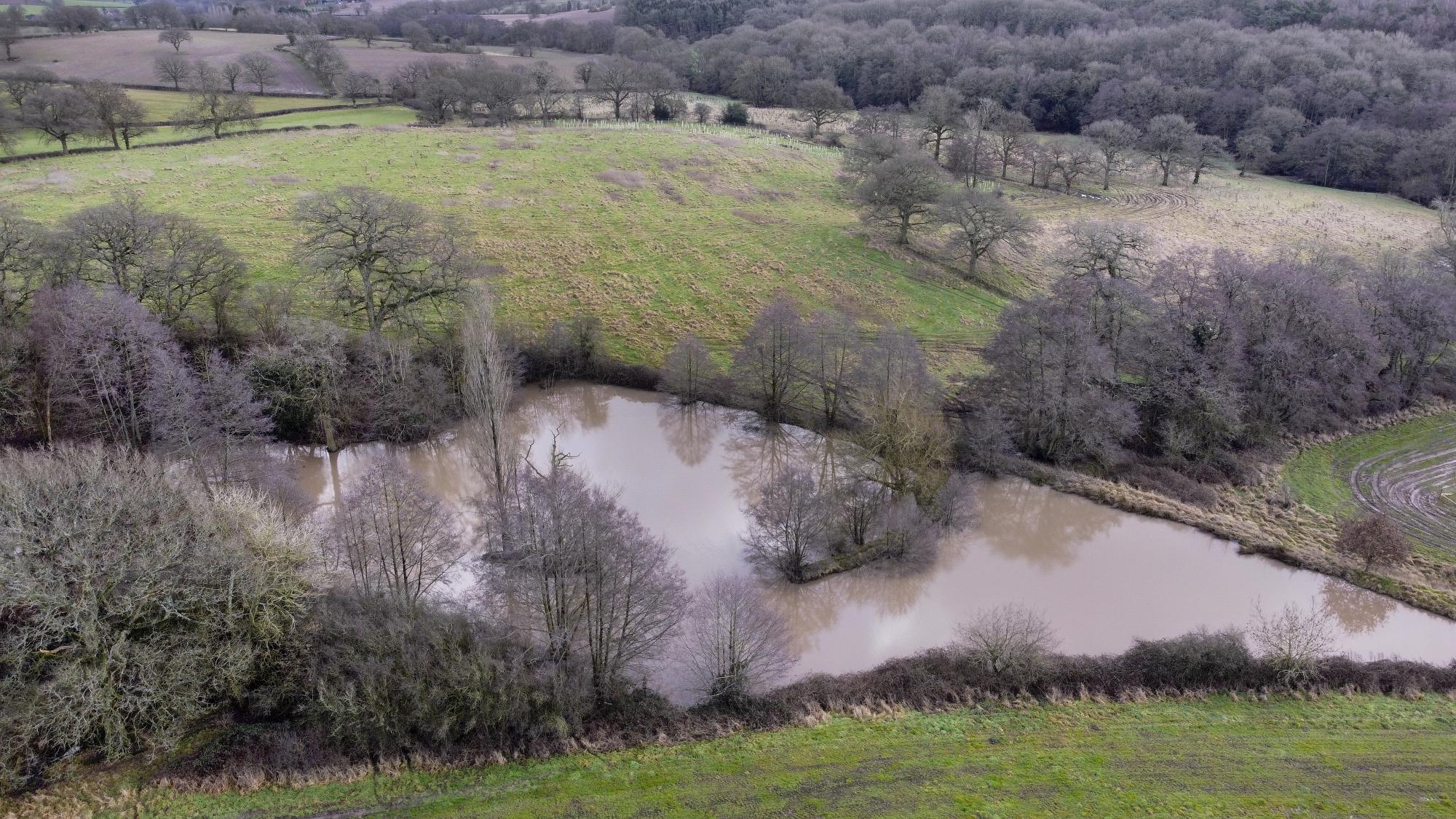 Aerial view of a pond at oak wood