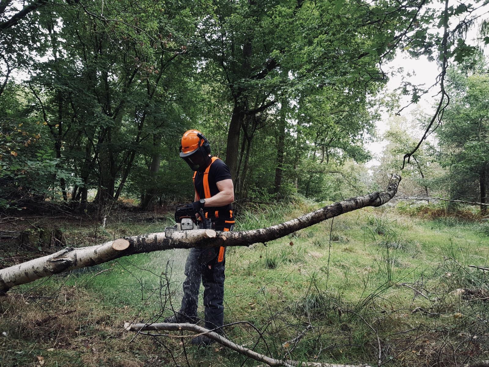 Aaron using an electric saw to cut through a fallen tree branch 