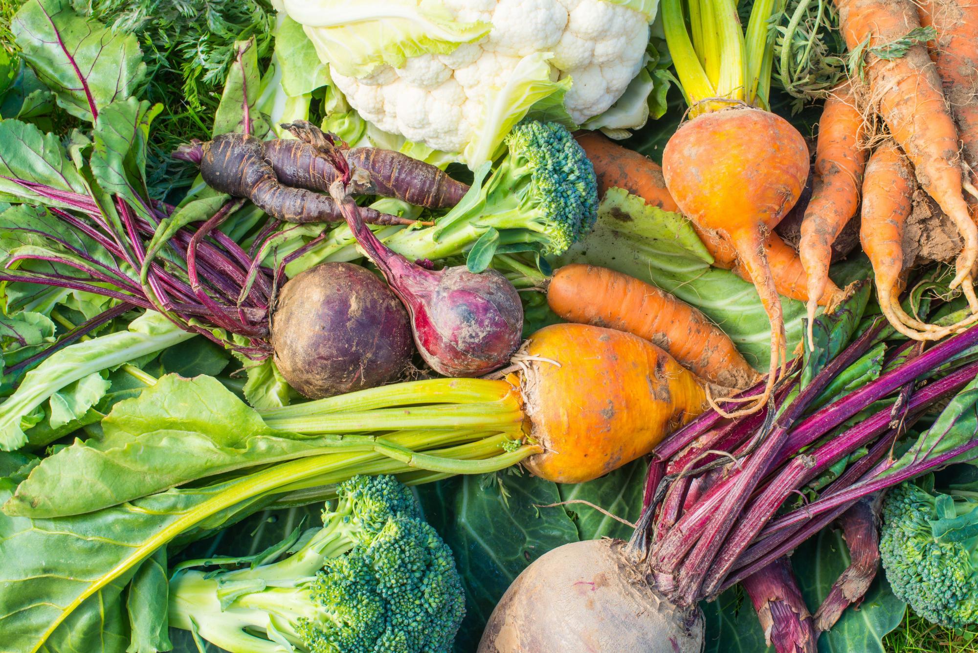 Close up of a selection of British vegetables including carrots and broccoli