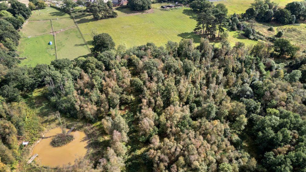 Aerial view of mature woodlands, fields and large pond at Gorcott Hill 