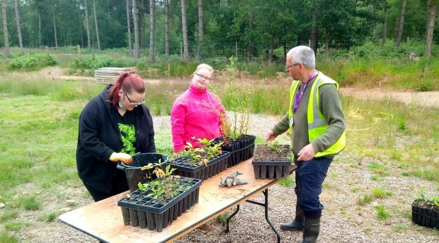 Two school students planting tree saplings in cells on a wooden tble outside at our tree nursery with their job coach 