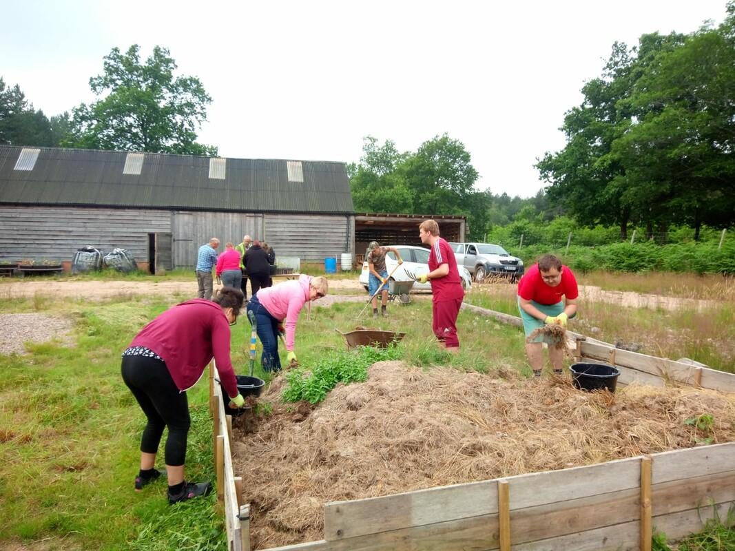 Group of 6th form students working together to tidy our tree nursery using forks, buckets and wheelbarrows