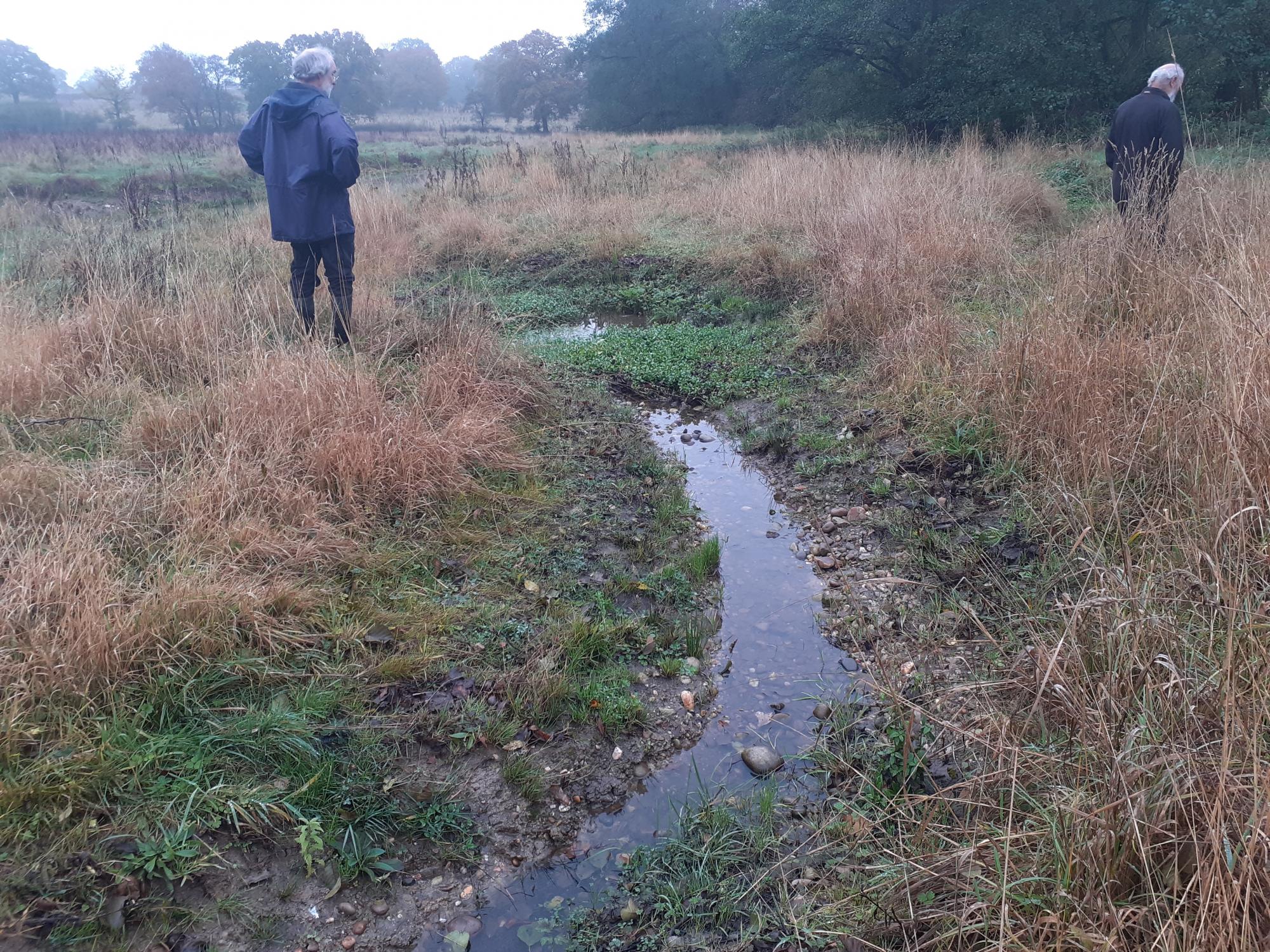 A newly created water channel at Oak Wood 