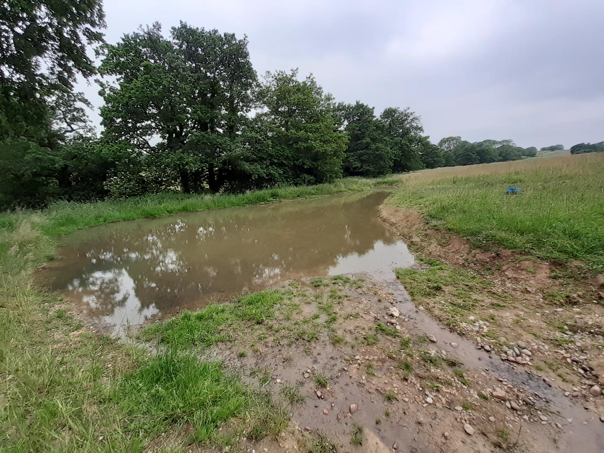 New pond/sediment trap full of muddy water created in a field at Oak Wood