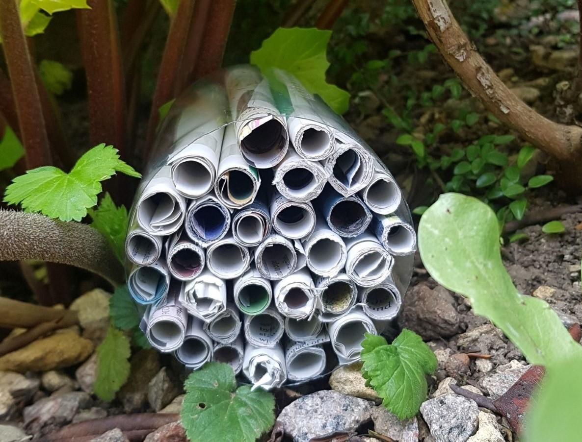 Close up of a bug hotel made from rolled up newspaper in an old plastic bottle, placed in a garden