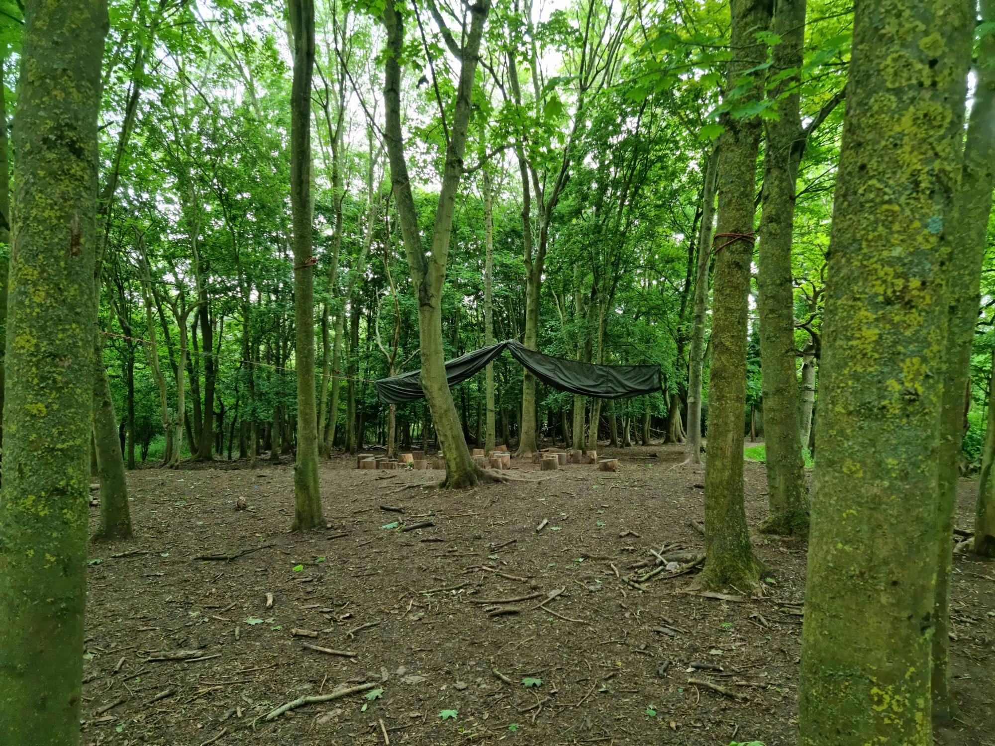 A picture of one of the outdoor learning spaces in the woods at Middle Spernal