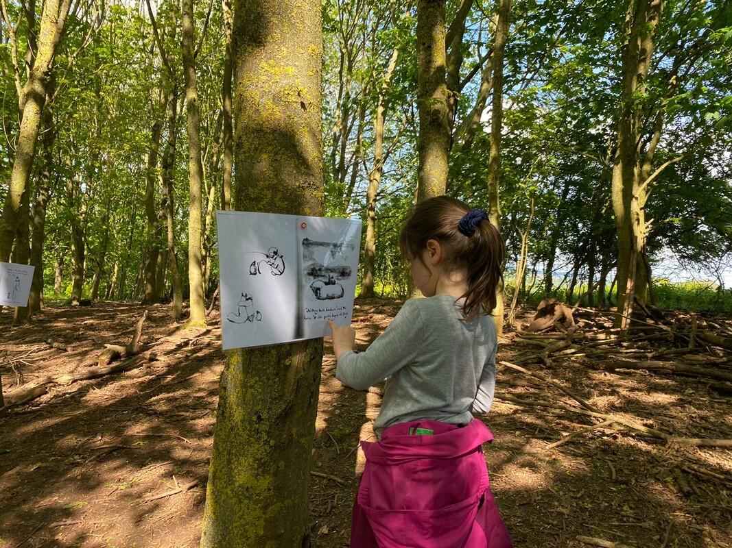 A primary school student looking at a poster placed on a tree trunk in the Forest