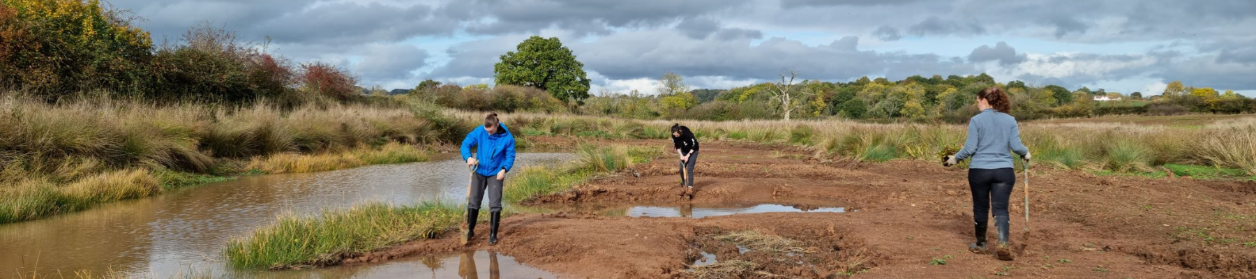 Three female volunteers digging and planting wetland plants at Netherstead