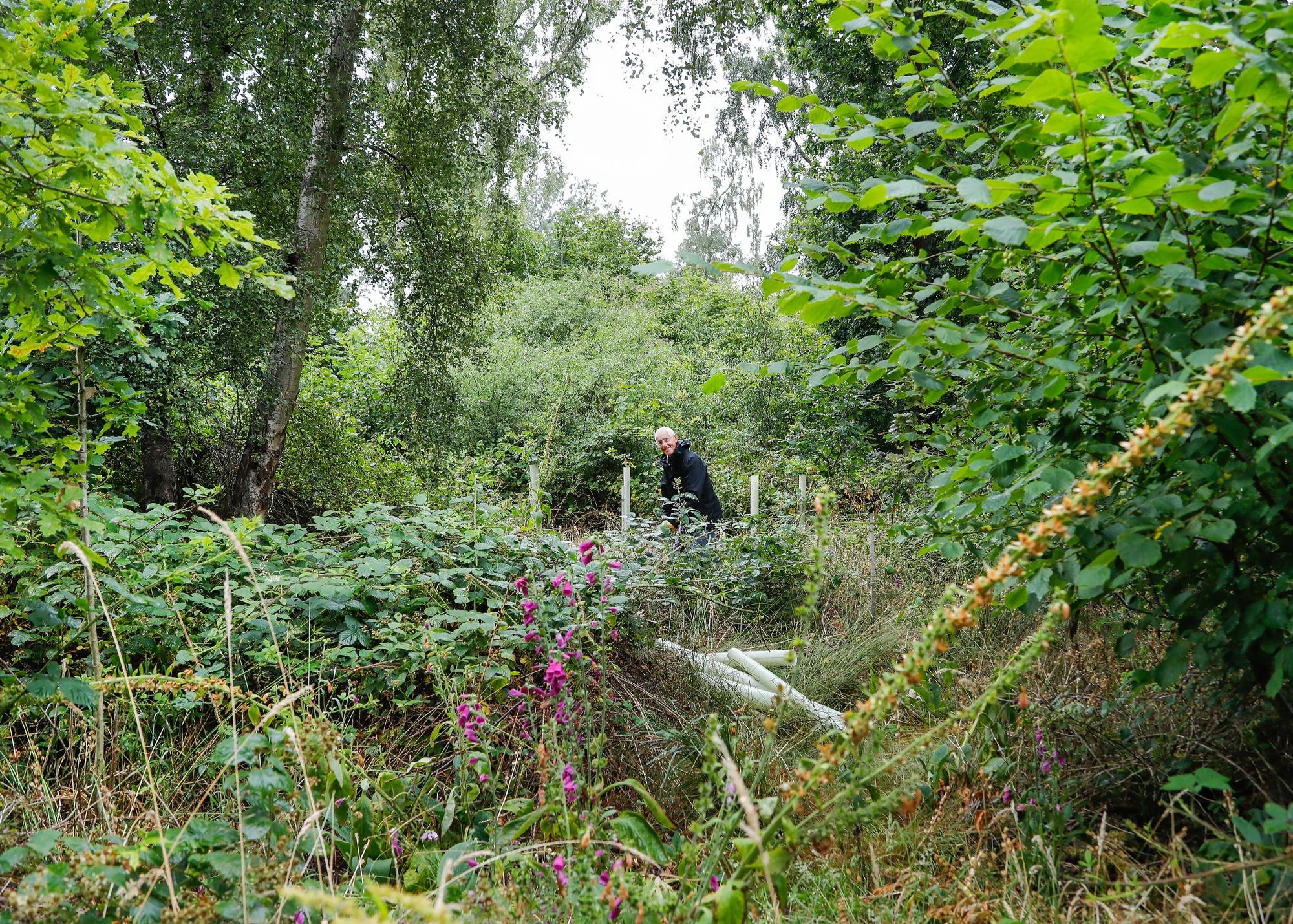 Volunteer removing tree guards from the Forest.