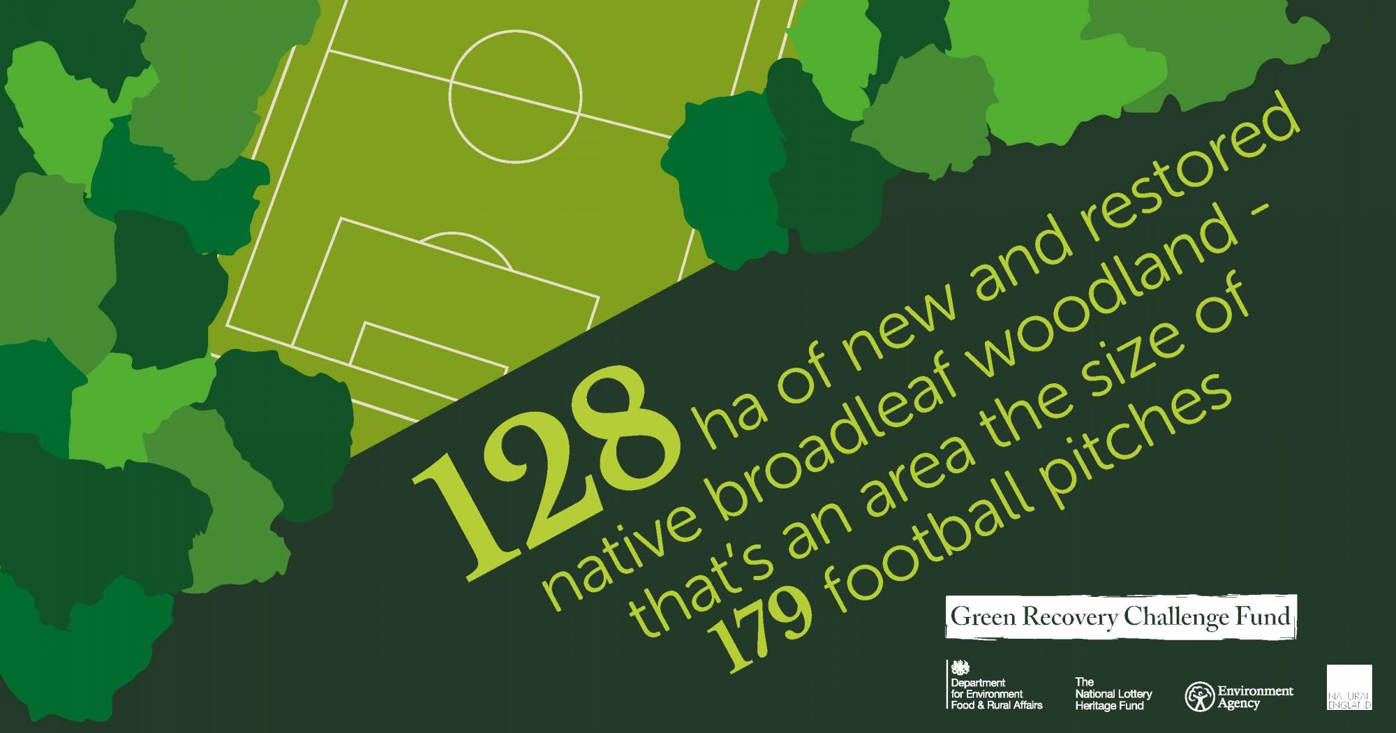 Infographic about the 128 hextares of new and restored woodland created being the size of 179 football pitches