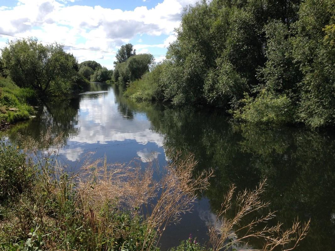 The river Avon on a cloudy day, surrounded by trees and hedges