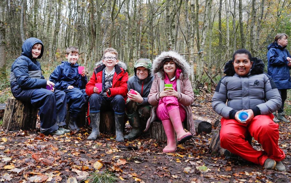 Six school pupils dressed in warm clothes sitting in a line on tree stumps in a woodland clearing