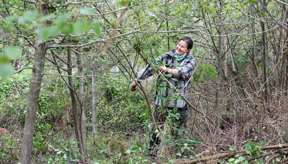 A smiling female volunteer with loppers carrying out woodland maintenance amongst trees in the Forest