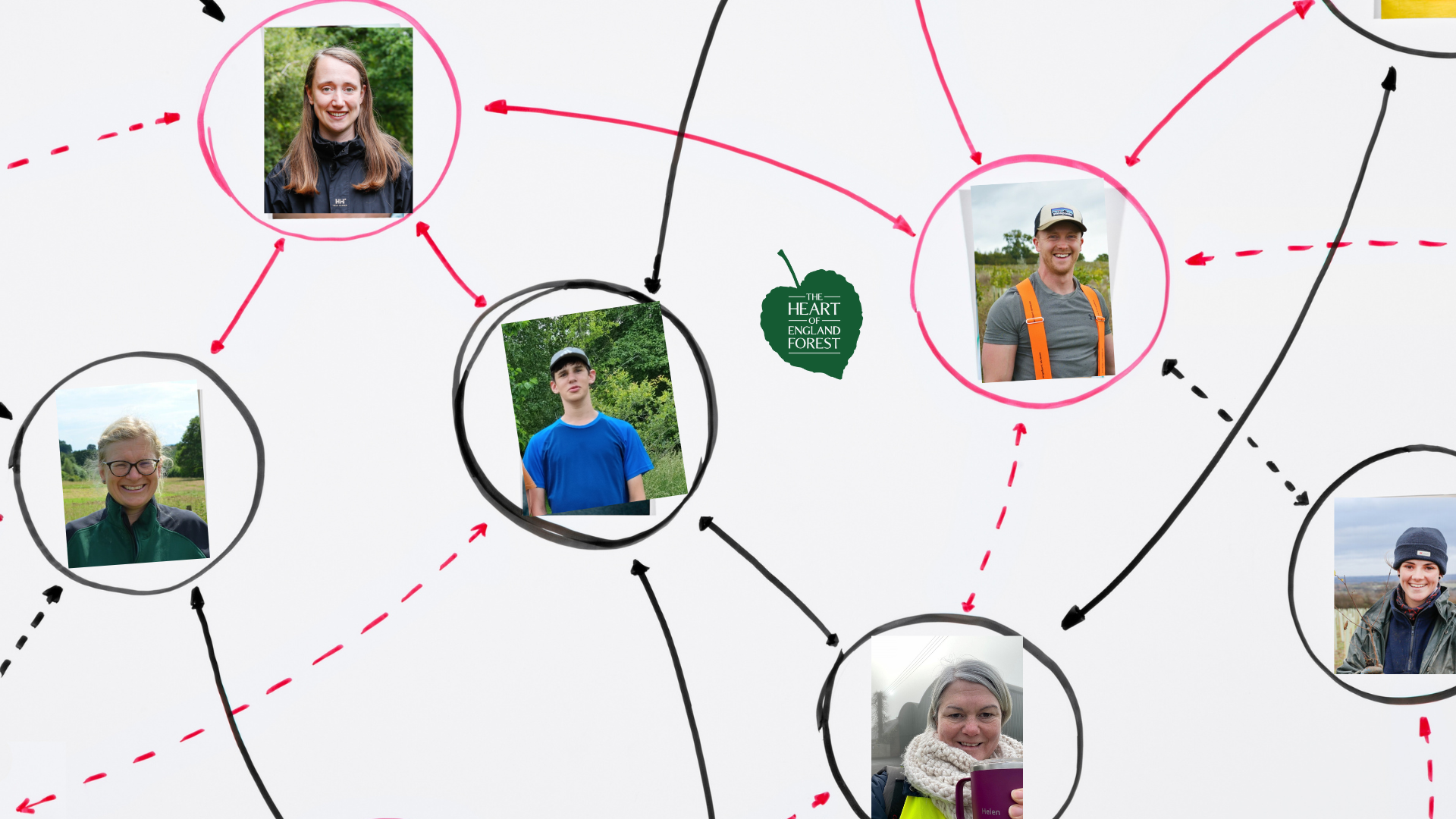 A diagram showing staff members, volunteers and interns all being connected