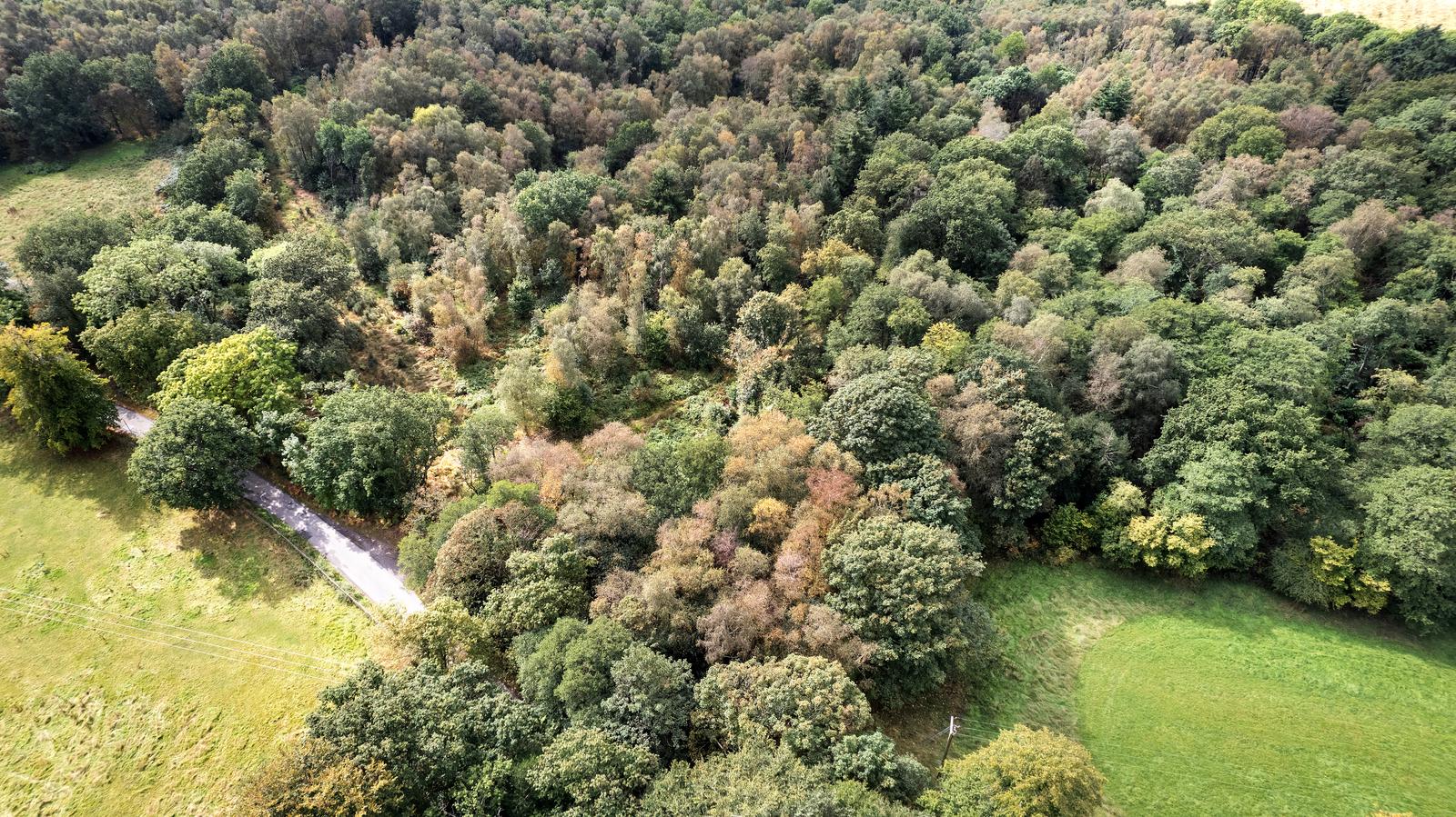 Aerial view of ancient semi natural woodland with fields in the foreground at Gorcott Hill