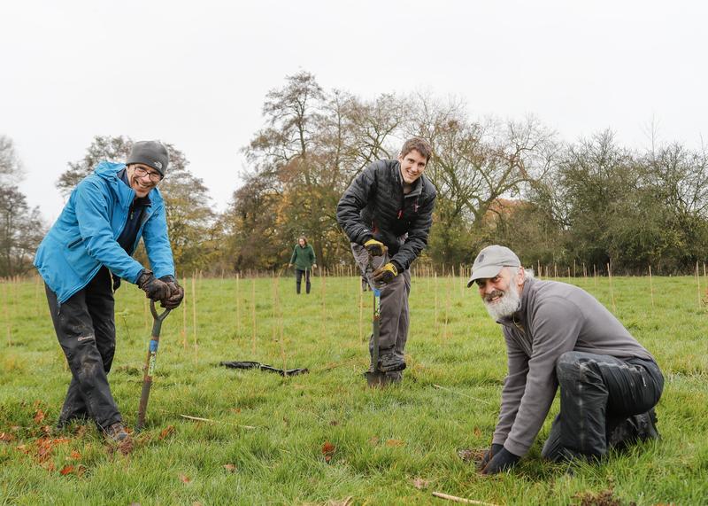 Three smiling volunteers planting tree saplings in the ground, two have planting spades and one is crouching down pushing earth around a sapling 