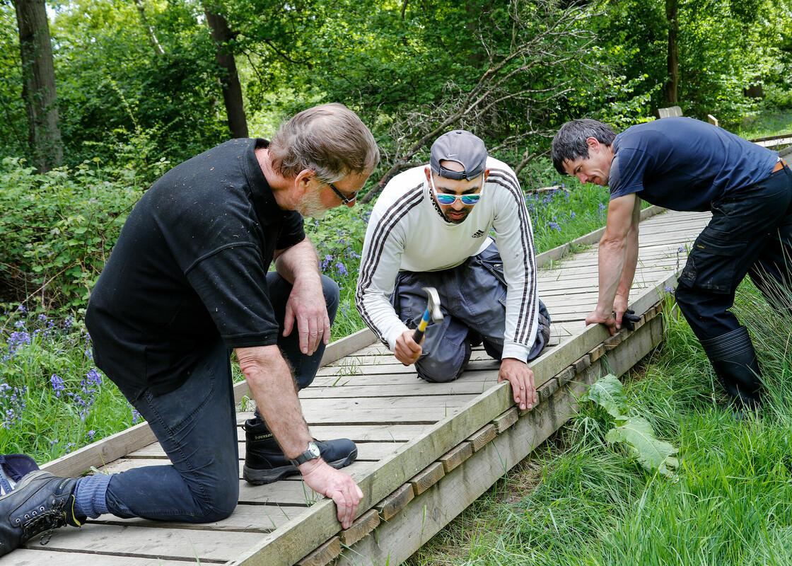 volunteers helping to repair an accessible boardwalk in the Forest