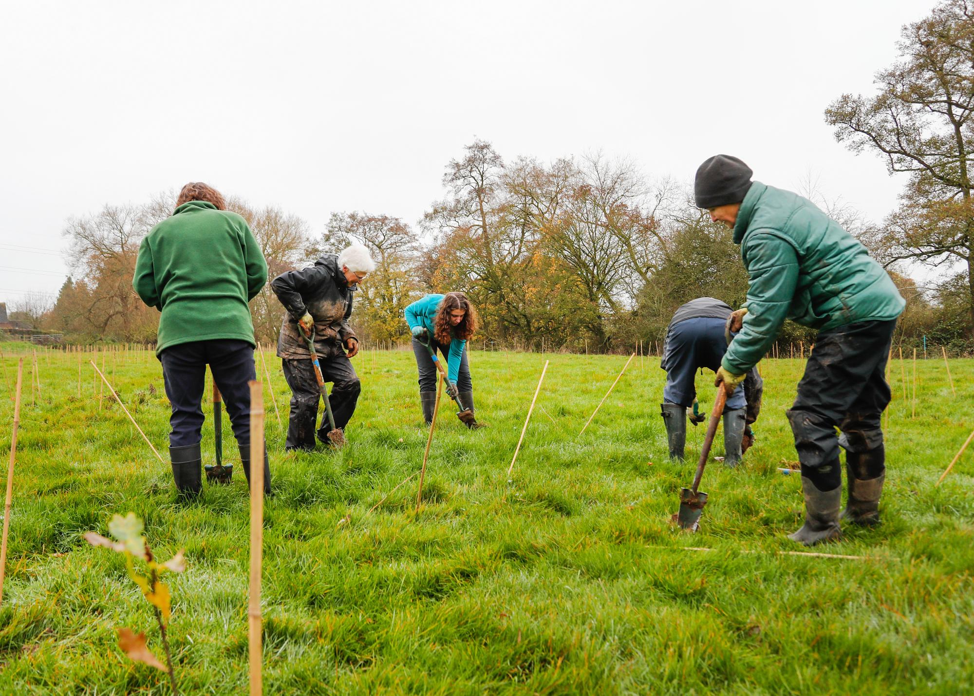 Volunteers and staff planting at the Spernal Hall Farm site during the winter of 2022