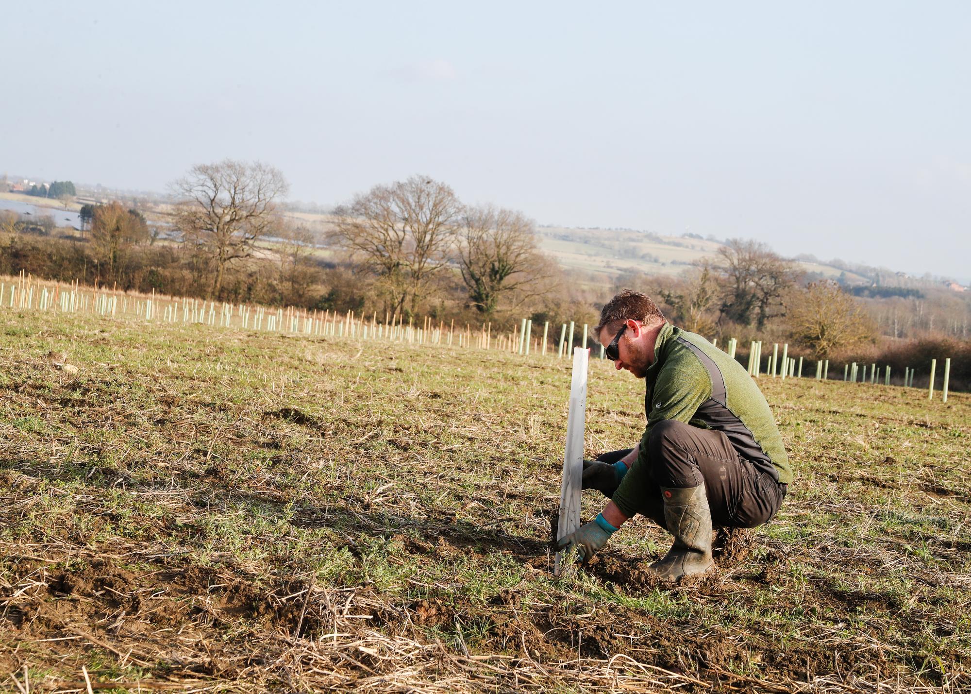 Ian Haywood, planting a tree in the winter of 2021