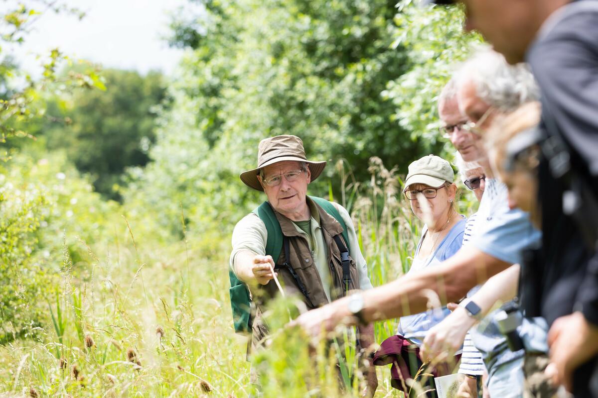 Volunteer Leader Alan pointing out insects to attendees at our BioBlitz event 