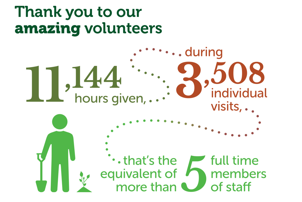 Infographic showing the number of volunteer hours given in 2022/23