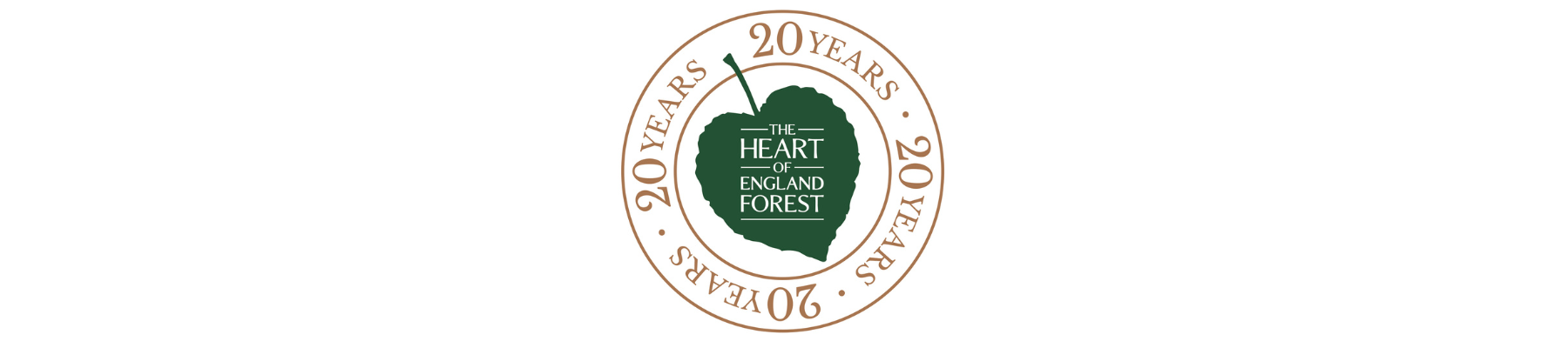 The 20th year anniversary logo