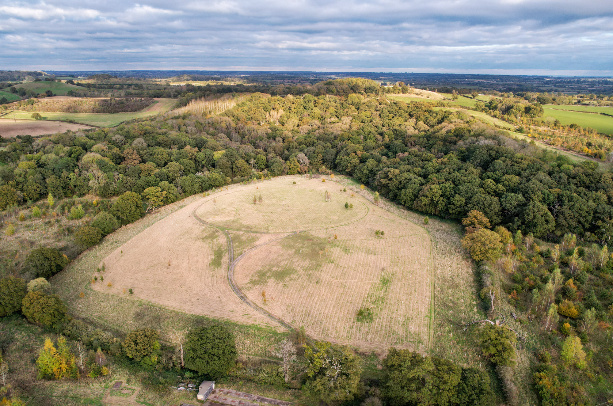 An aerial view of Alne Wood