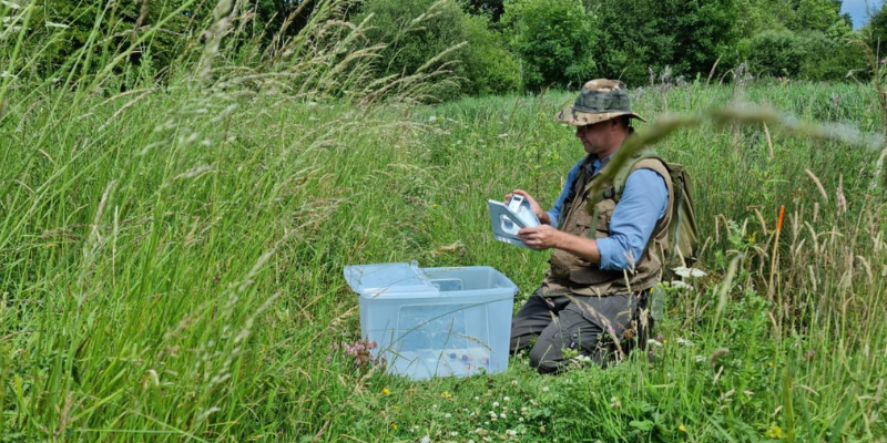 Volunteer Andy checking small mammal survey boxes at a BioBlitz in the Forest