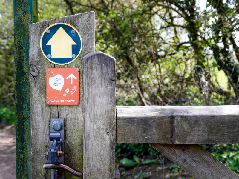 A permissive footpath gate leading in to the Forest.